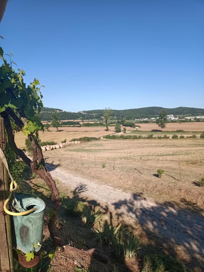 Agriturismo Podere La Selva Villa Serre Di Rapolano Bagian luar foto