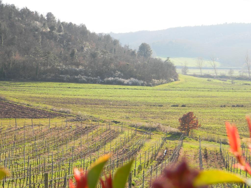 Agriturismo Podere La Selva Villa Serre Di Rapolano Bagian luar foto