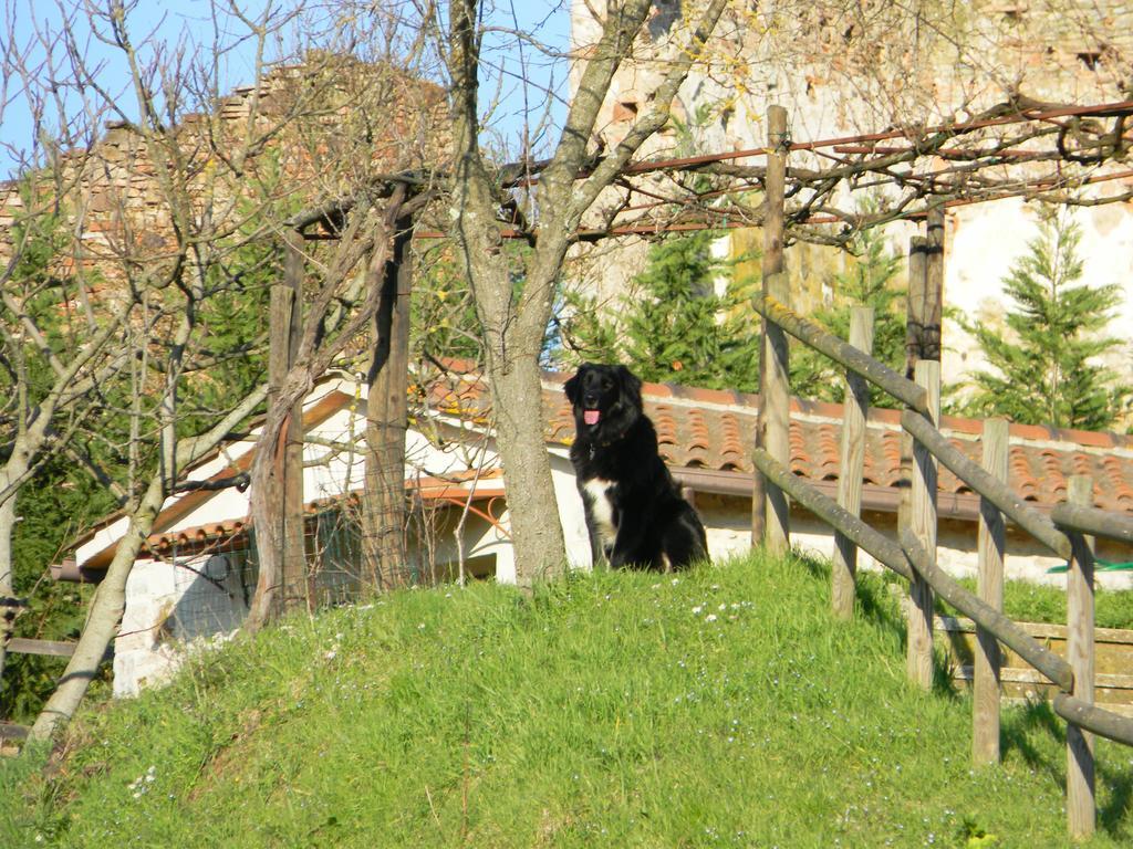 Agriturismo Podere La Selva Villa Serre Di Rapolano Bagian luar foto